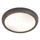 Rabalux Alvorada spoljna plafonska lampa E27 2x20W IP65 Spoljna rasveta