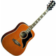 Eko guitars Ranger VI VR Natural
