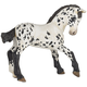 shumee Žrebe appaloosa