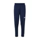 THE NORTH FACE Outdoor hlače MOUNTAIN ATHLETICS 2.0 mornarska / črna