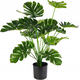 shumee UMETNA RASTLINA MONSTERA DELICIOSA 50-75 cm VELIKA REALISTIČNA XL dekoracija