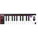 Akai LPK25 MKII SET MIDI keyboard