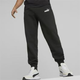 DONJI DEO PUMA ESS+ 2 COL LOGO PANTS TR CL M