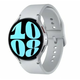 SAMSUNG Galaxy Watch 6 SM-R940 Silver