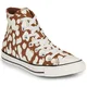 Converse  -  Kostanjeva