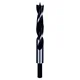 Bosch Spiralna burgija za drvo 2609255212, 15x100x160 mm