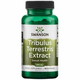 Swanson Tribulus Terrestris Extract, Anchor Extract, 500 mg, 60 kapsul